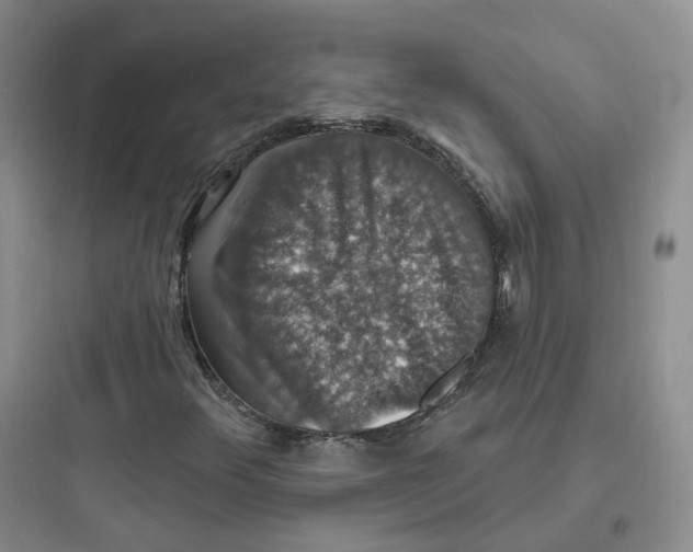 X0000097671348200803211933