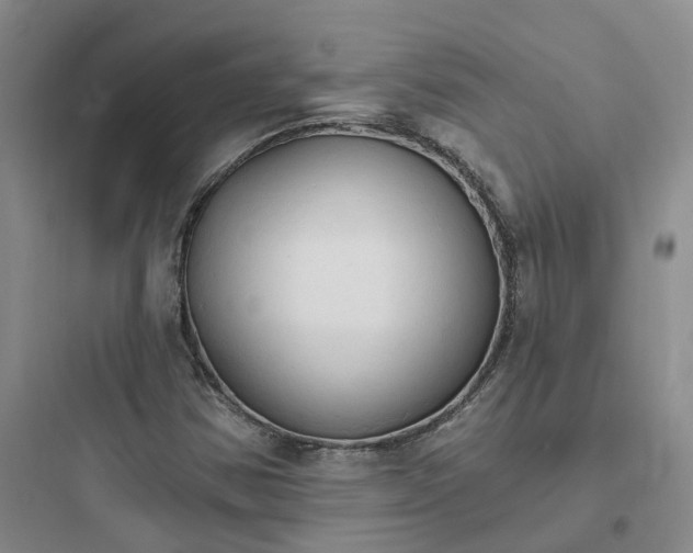 X0000097671354200803211933