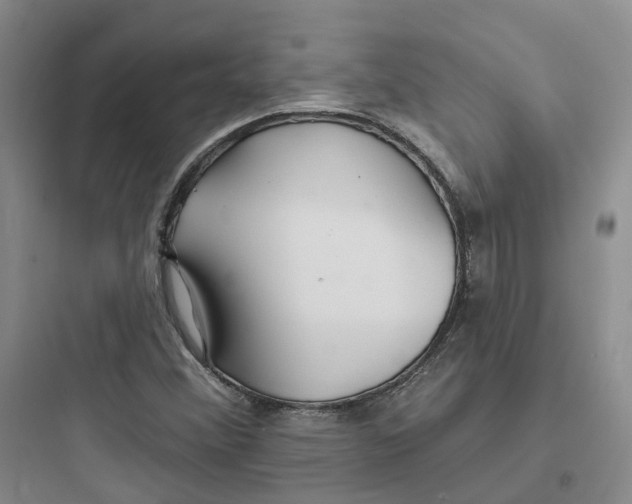 X0000097671356200803211933