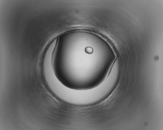 X0000097671357200803211933