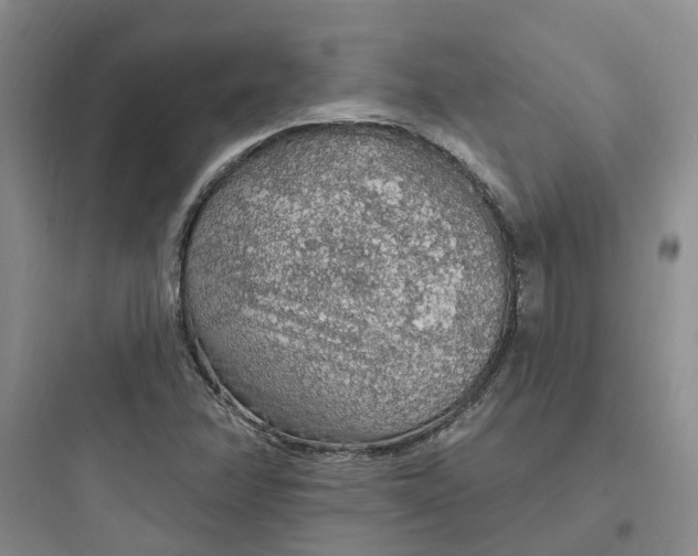 X0000097671358200803211933