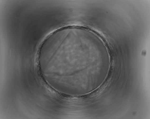 X0000097671359200803211933