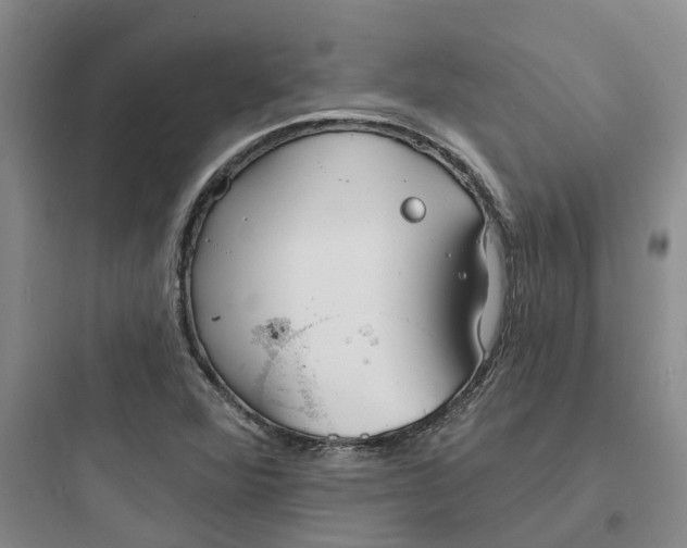 X0000097671360200803211933