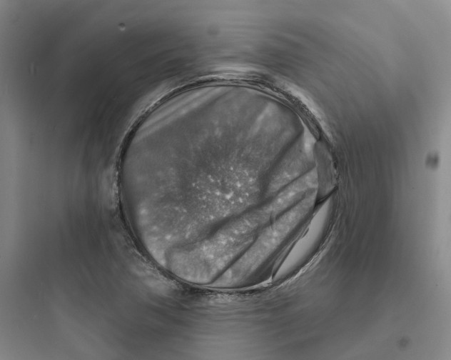 X0000097671362200803211933