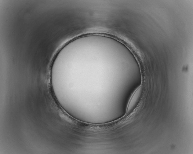 X0000097671366200803211933