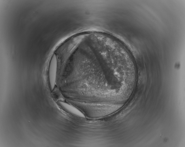 X0000097671367200803211933