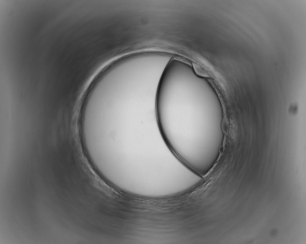 X0000097671368200803211933