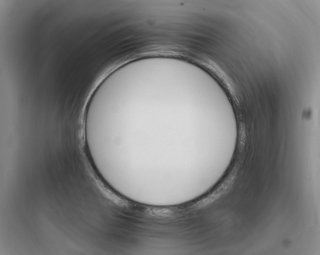 X0000097671370200803211932