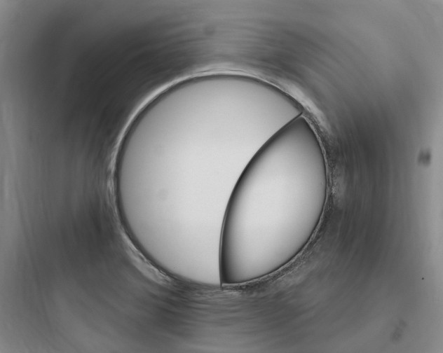 X0000097671372200803211932