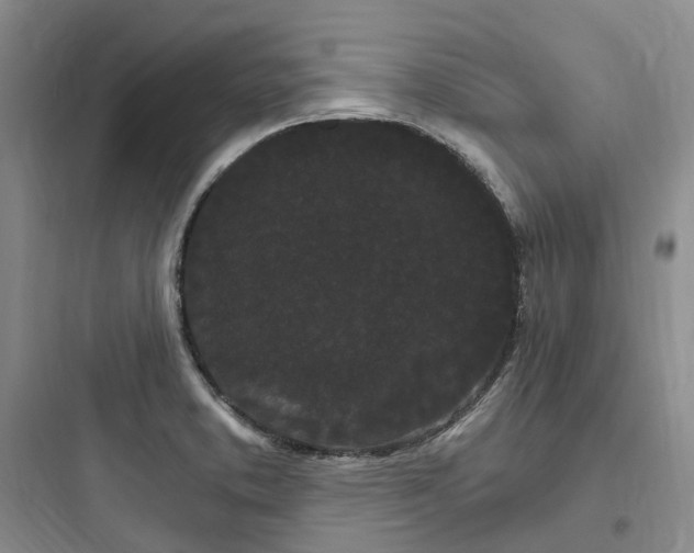 X0000097671373200803211932