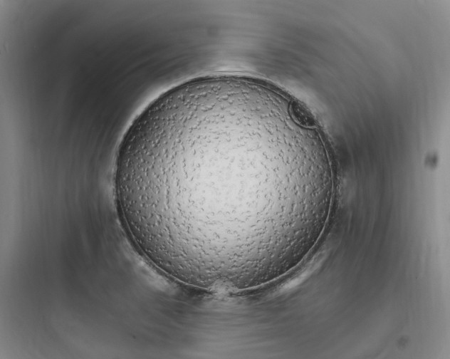X0000097671374200803211932