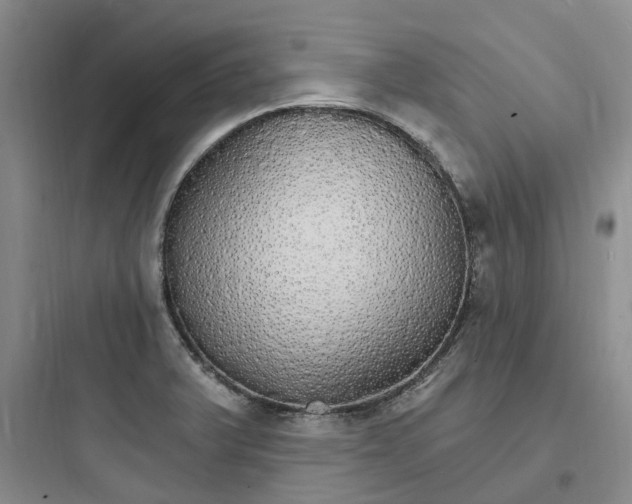X0000097671375200803211932