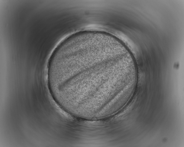 X0000097671376200803211932