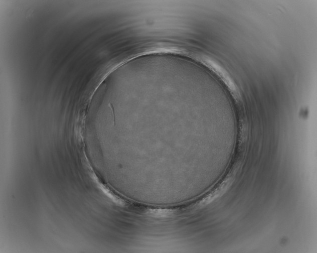 X0000097671377200803211932