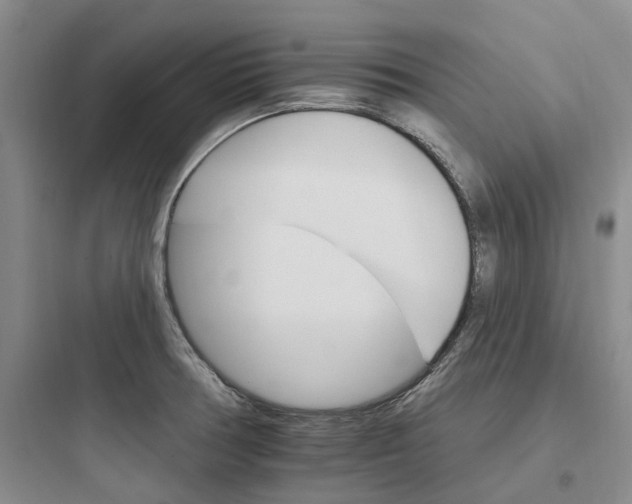 X0000097671378200803211932