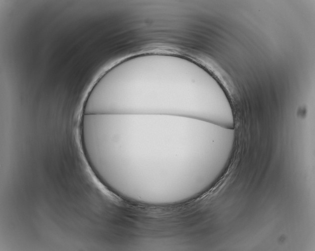 X0000097671379200803211932