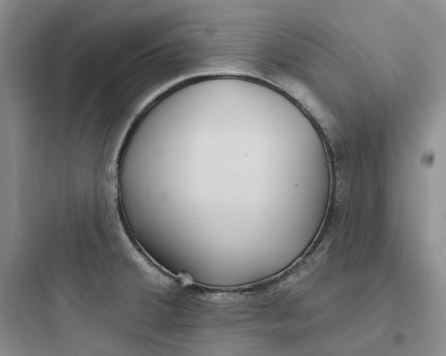 X0000097671380200803211932