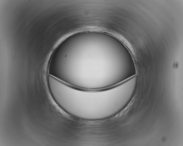 X0000097671381200803211932