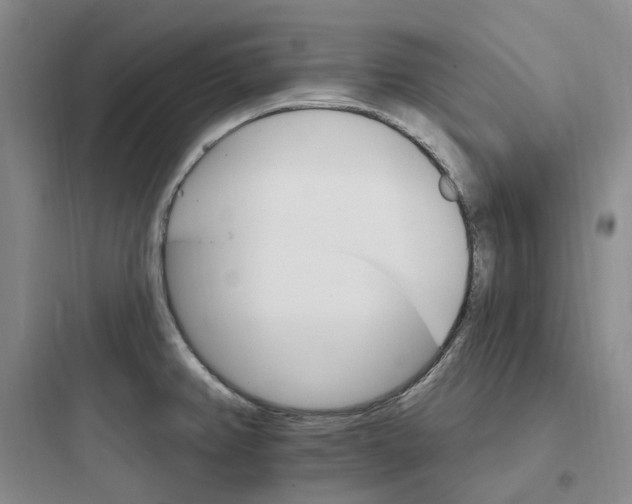 X0000097671382200803211932