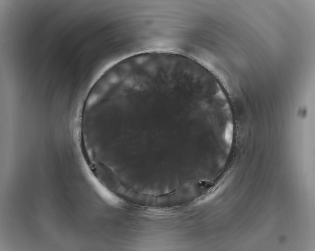X0000097671383200803211932