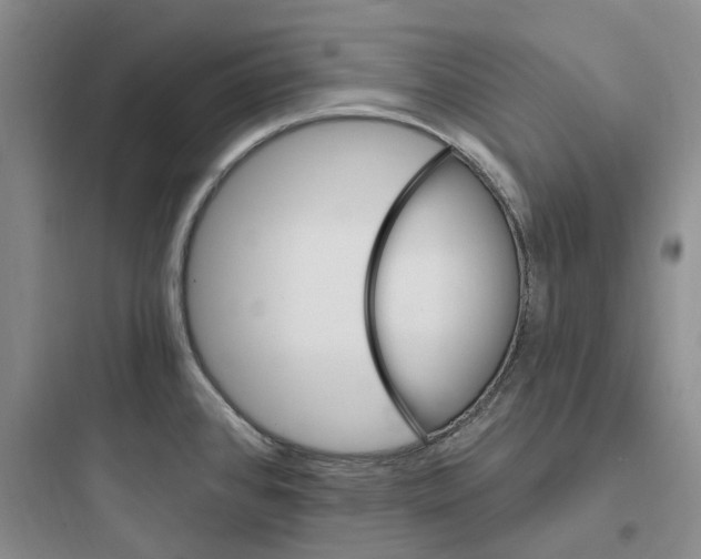 X0000097671384200803211932