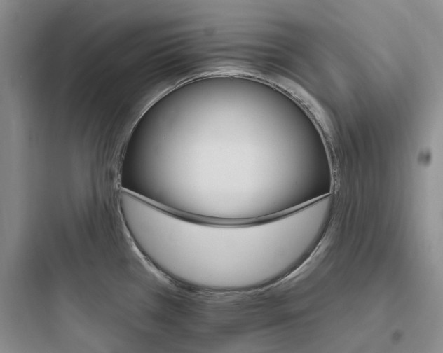 X0000097671385200803211932