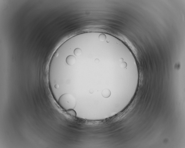 X0000097671386200803211932