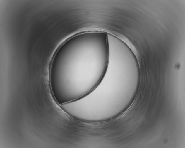 X0000097671388200803211932