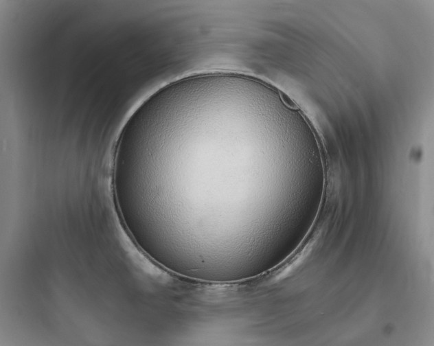 X0000097671390200803211932