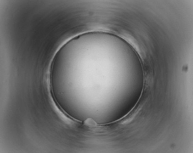 X0000097671391200803211932