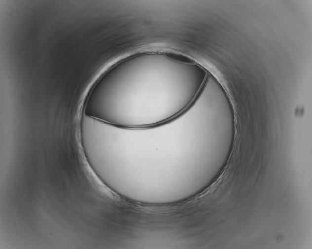 X0000097671392200803211932