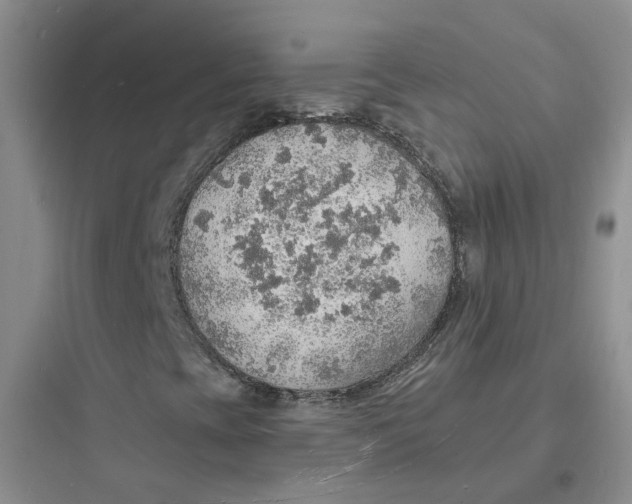 X0000097671393200803211931