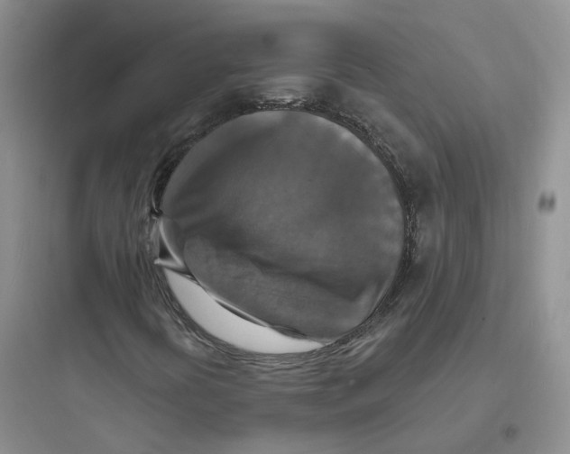 X0000097671394200803211931