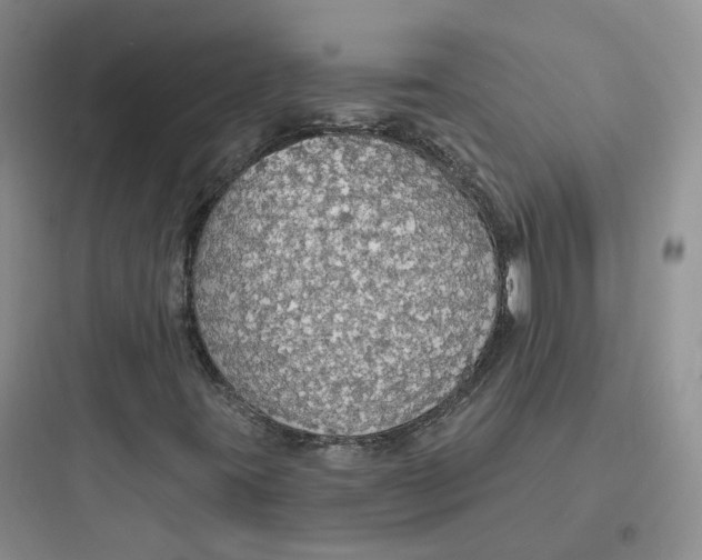 X0000097671395200803211931