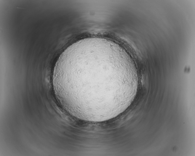 X0000097671396200803211931