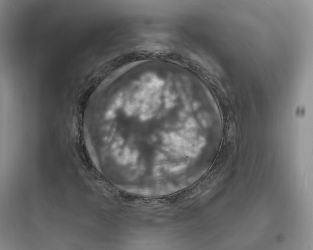 X0000097671397200803211931