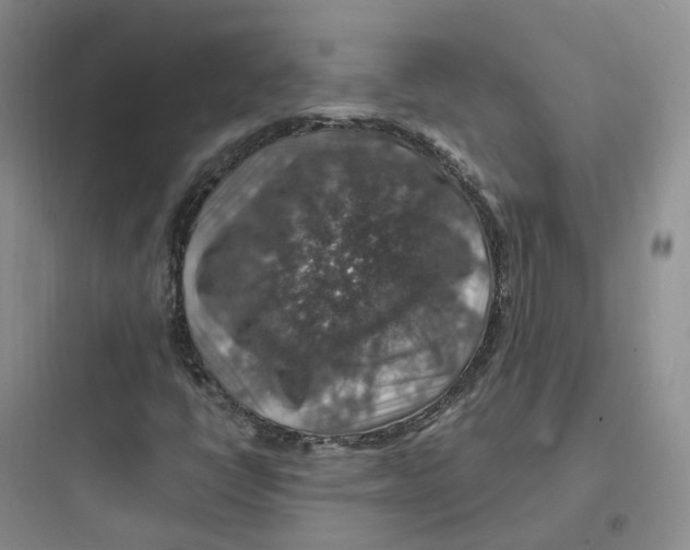 X0000097671398200803211931