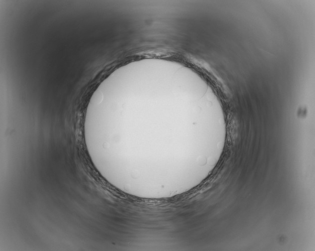 X0000097671399200803211931