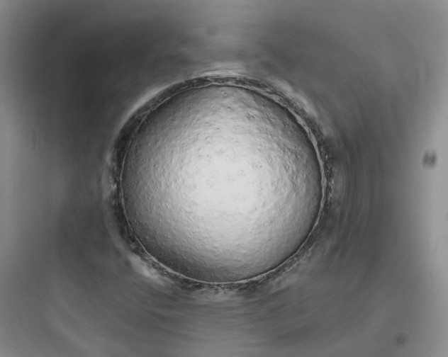 X0000097671400200803211931