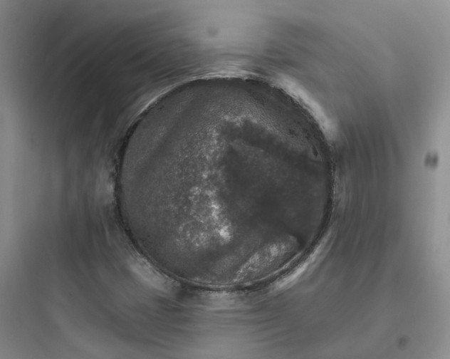 X0000097671401200803211931