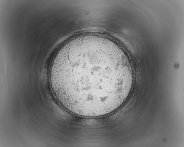 X0000097671402200803211931