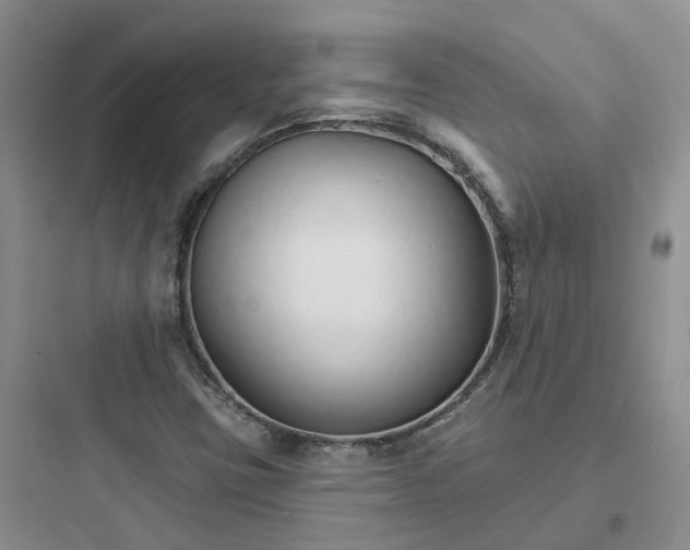 X0000097671403200803211931