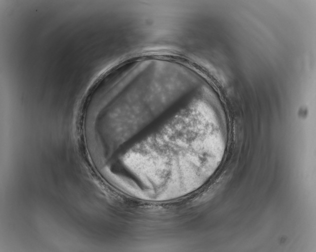 X0000097671405200803211932