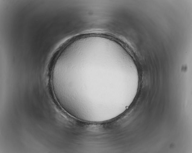 X0000097671406200803211932