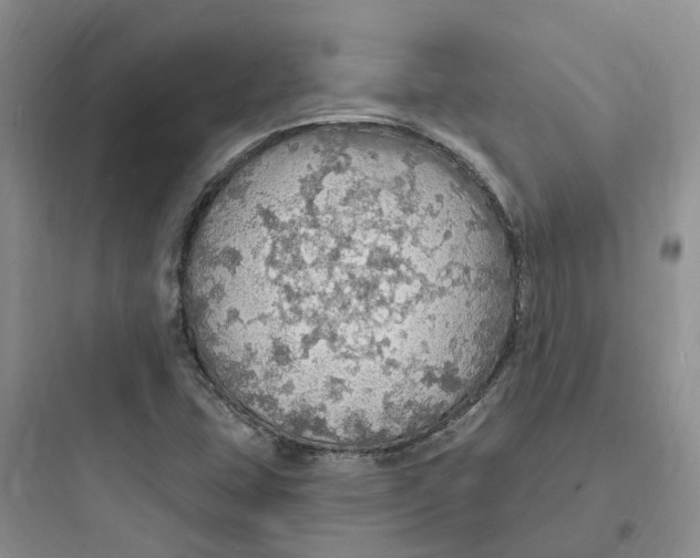 X0000097671407200803211932