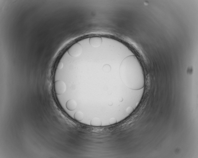 X0000097671408200803211932