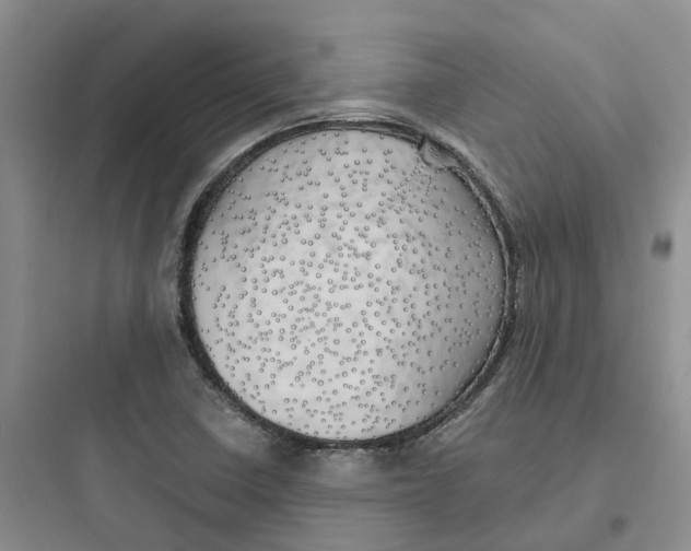 X0000097671410200803211932
