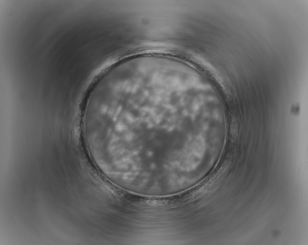 X0000097671411200803211932