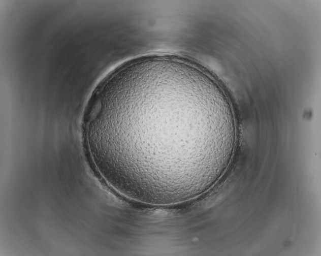 X0000097671412200803211932