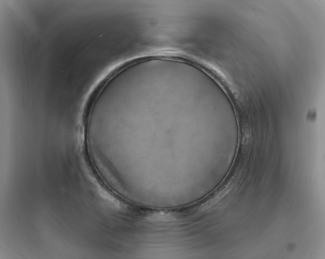 X0000097671414200803211932